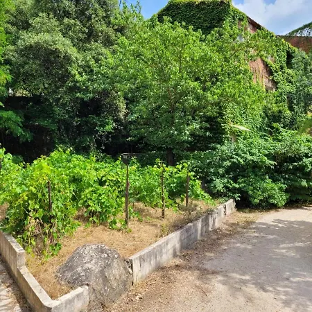 Les Acacias- Appartement 34 Apartamento